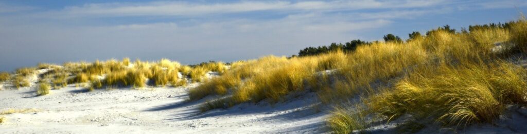 dune de sable et herbe